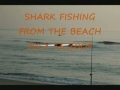 shark fishing | BahVideo.com