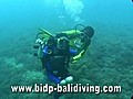 Handicapped Scuba Diver in Bali Indonesia | BahVideo.com