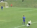 Badass Soccer Move Knocks Player Out | BahVideo.com