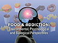 Food and Addiction Sugar Addiction - Proof of  | BahVideo.com