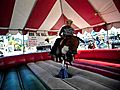 Fonz riding the Mechanical bull got attacked  | BahVideo.com