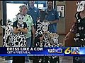 Barnyard-Chic Crowd Gets Free Lunch For Cow  | BahVideo.com