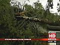 Strong winds cause damage in California | BahVideo.com