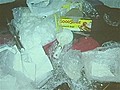 Hamilton Drug Bust Nets Cash Kilos Of Cocaine | BahVideo.com