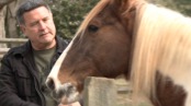 Meet The Executive Horse Whisperer | BahVideo.com