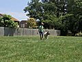 Eleven-year-old dog handler | BahVideo.com
