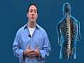 Chiropractor in Greenacres fl neck pain wellness sports pain | BahVideo.com