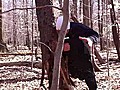 Tree Killer Wants To Play Football | BahVideo.com