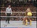 The Ultimate Warrior vs Hulk Hogan | BahVideo.com