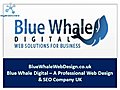 Blue Whale Web Design Web Design and SEO Company in London UK | BahVideo.com