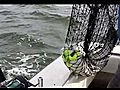 Striper Fishing aboard Reel Time on the Chesapeake Bay Max | BahVideo.com