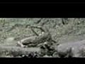 Hisss Trailer | BahVideo.com