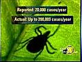 Lyme Disease The Next Pandemic  | BahVideo.com
