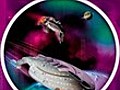 Star Trek Voyager | BahVideo.com