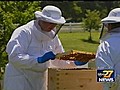 Hershey Chefs Sweet on Honey | BahVideo.com
