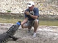 Alligator trapper catches one off Sunrise  | BahVideo.com