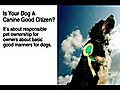 Is Your Dog a Canine Good Citizen | BahVideo.com