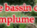 Le bassin de jardin de plumplume ATB TV | BahVideo.com
