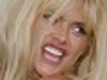 Blabber The Anna Nicole Smith Saga Continues | BahVideo.com
