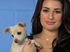 Lea Michele Anti-Fur PSA for PETA | BahVideo.com
