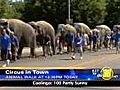 Circus animals walk through Downtown Fresno | BahVideo.com