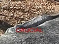 Observe the Crag 2006  | BahVideo.com