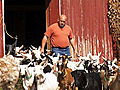 The Fabulous Beekman Boys A Goat By Any Other  | BahVideo.com