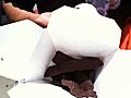 Chocolate covered bacon | BahVideo.com