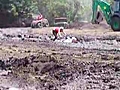ATV Girl In Mud Pit | BahVideo.com