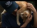 Animal Rescue Team amp 8212 Cat Hoarding Case | BahVideo.com