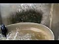 Cat Vs Water Barrel | BahVideo.com
