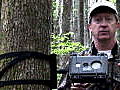 LIFE in the News Ivory-Billed Woodpecker | BahVideo.com