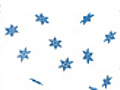 Snowflakes falling on white background with alpha | BahVideo.com