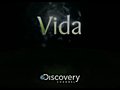 VIDA - DISCOVERY CHANNEL HQ  | BahVideo.com