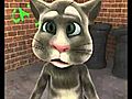 The stupid kitty cat greetings | BahVideo.com