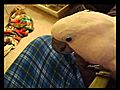 Tron the umbrella cockatoo | BahVideo.com