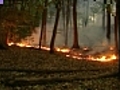 Brush fires sprouting up all over Massachusetts | BahVideo.com