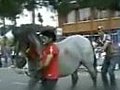 Horse Gets Revenge | BahVideo.com