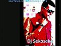 Dj Sekoseko Serkan KBK amp T O B - Shake It Remix | BahVideo.com