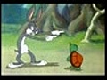 Tortoise Beats Hare | BahVideo.com