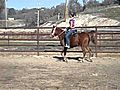 FOR SALE - Abbey 11 Yr Old Sorrel Arabian Mare - Awesome Trail Horse  | BahVideo.com