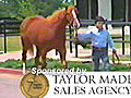 Fasig-Tipton July Feature - Mark Taylor | BahVideo.com