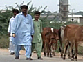 Displaced Pakistanis return home | BahVideo.com