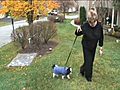 Anxious pet owners find a new kind of sitter: Host families | BahVideo.com