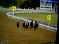 Horse Racing Fantasy | BahVideo.com