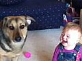 Baby Laughs At Bubble-Eating Dog | BahVideo.com