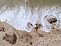 Woman on beach overhead shot | BahVideo.com