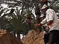 Nile delta suffers as climate change kicks in | BahVideo.com