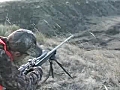 300 WSM vs mule deer | BahVideo.com