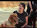 Ask The Pet Vet | BahVideo.com